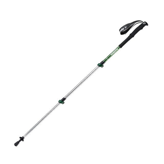 Hiking Sticks