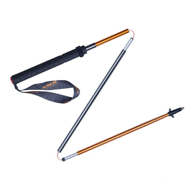 Lightweight Trekking Poles