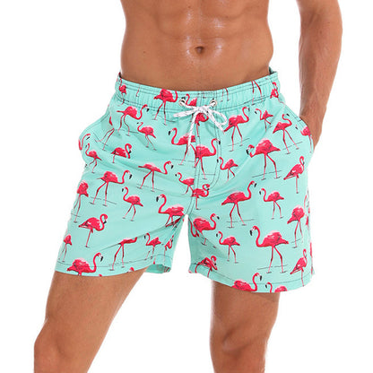 Beach Board Shorts