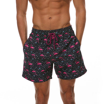 Beach Board Shorts